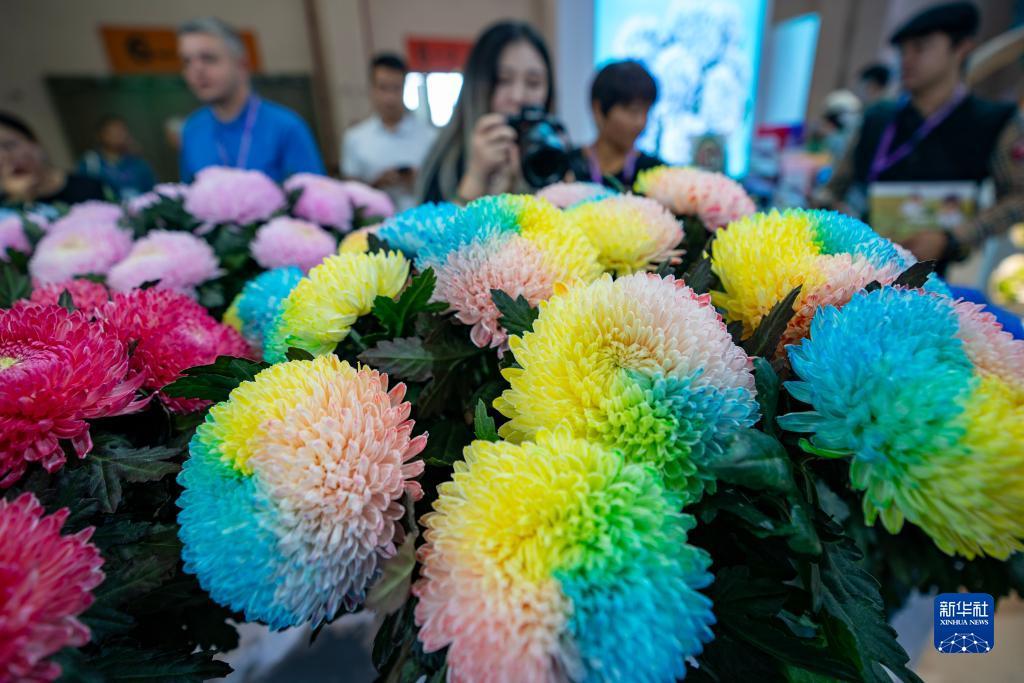 什么软件可以免费玩端游
